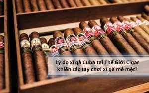 Lý do xì gà Cuba tại Thế Giới Cigar vô cùng được ưa chuộng